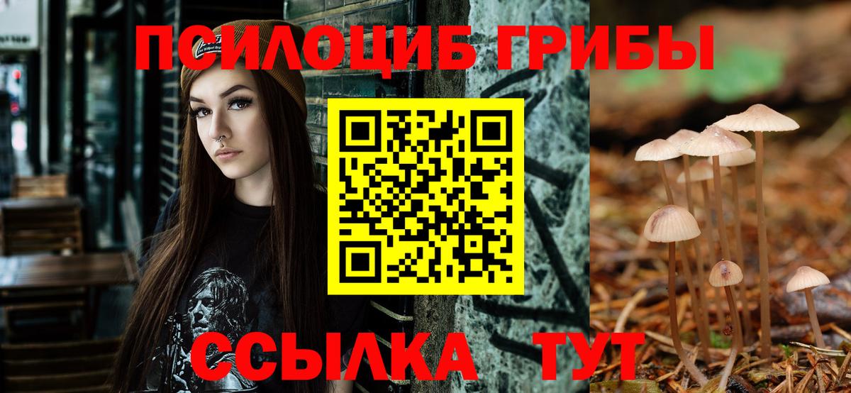 Старая Купавна  Галлюциногенные грибы MAGIC MUSHROOMS  Вход с VPN 