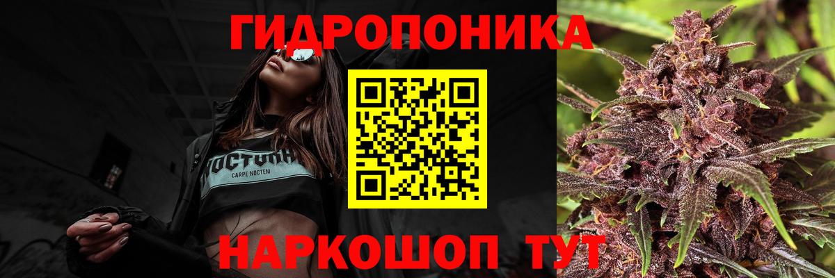 Марихуана ГИДРОПОН  Вход с VPN  Шишки марихуана SATIVA & INDICA  Шишки марихуана MAZAR  Каннабис сатива  Старая Купавна 
